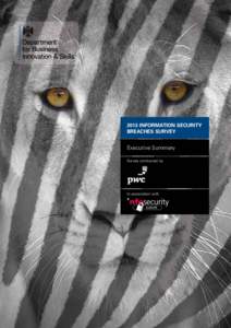 2013 Information Security Breaches Survey Executive Summary