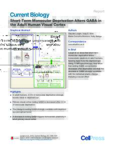 Report  Short-Term Monocular Deprivation Alters GABA in the Adult Human Visual Cortex Graphical Abstract