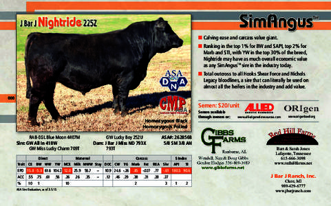 ■ Calving ease and carcass value giant. ■ Ranking in the top 1% for BW and $API, top 2% for Marb and $TI, with YW in the top 30% of the breed, Nightride may have as much overall economic value as any SimAngusTM sire 