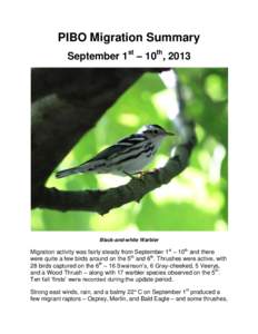 PIBO Migration Summary September 1st – 10th, 2013 Black-and-white Warbler  Migration activity was fairly steady from September 1st – 10th and there