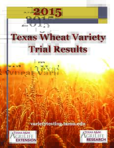 2015  SCSTexas Wheat Variety Trial Results