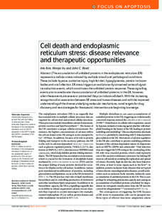 f o c u S o n a pRoEpVto SIS IEW Cell death and endoplasmic reticulum stress: disease relevance