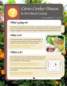 Citrus Canker Disease In Fort Bend County SEPTEMBER 1, 2016 What’s going on? Currently the Texas Department of Agriculture, working with the USDA, has issued a quarantine