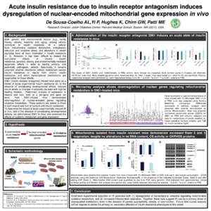 Acute insulin resistance due to insulin receptor antagonism induces dysregulation of nuclear-encoded mitochondrial gene expression in vivo De Sousa-Coelho AL,Yi P, Hughes K, Chirn GW, Patti ME Research Division, Joslin D