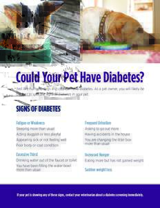 Could Your Pet Have Diabetes? Just like humans, dogs and cats can have diabetes. As a pet owner, you will likely be the first to spot the signs of diabetes in your pet. SIGNS OF DIABETES