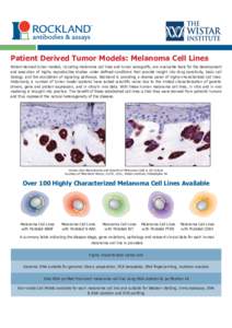 Melanoma Cell Lines Sell Sheet.pdf