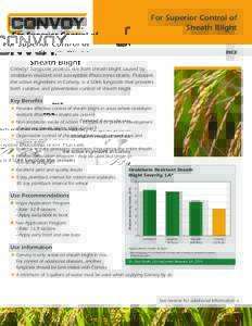 For Superior Control of Sheath Blight RICE Convoy® fungicide protects rice from sheath blight caused by strobilurin resistant and susceptible Rhizoctonia strains. Flutolanil, the active ingredient in Convoy, is a SDHI f