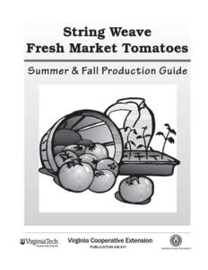 publication[removed]  String Weave Fresh Market Tomatoes Summer and Fall Production Guide Charles R. O’Dell, Extension Horticulturist, Commercial Vegetable Production, Virginia Tech Charlie Conner, Extension Agent, Sou