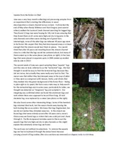 Update from the Rotter-in-Chief June was a very busy month collecting and processing samples from an experiment that is testing the differences in wood decomposition a stream channel versus on land. It all started the en