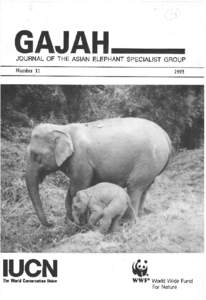JOURNAL OF THE ASIAN ELEPHANT SPECIALIST GROUP Nurnber 11  r993
