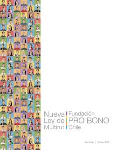 Santiago  Enero 2015 Informe elaborado por Fundación Pro Bono en conjunto con Roberto Lewin Vial, asociado senior del área laboral de Urenda, Rencoret, Orrego & Dörr.