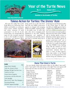 Year of the Turtle News No. 8 August[removed]Basking in the Wonder of Turtles