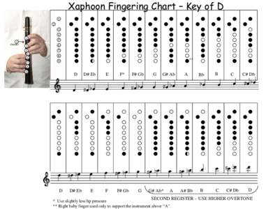 Microsoft PowerPoint - Fingering Chart D.ppt