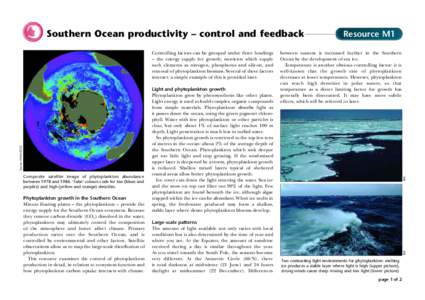 Southern Ocean productivity – control and feedback  Phytoplankton growth in the Southern Ocean Minute floating plants – the phytoplankton – provide the energy supply for the Southern Ocean ecosystem. Because they r