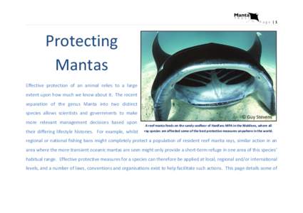 Page |1  Protecting Mantas Effective protection of an animal relies to a large extent upon how much we know about it. The recent