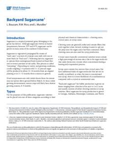 SS-AGR-253  Backyard Sugarcane1 L. Baucum, R.W. Rice, and L. Muralles2  Introduction