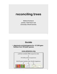 reconciling trees Stefanie Hartmann postdoc, Todd Vision’s lab University of North Carolina  1