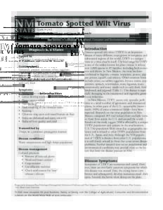 Tomato Spotted Wilt Virus Guide H-242 Natalie P. Goldberg and Jason M. French1 Diagnosis at a Glance Caused by