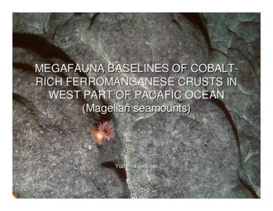 MEGAFAUNA BASELINES OF COBALTRICH FERROMANGANESE CRUSTS IN WEST PART OF PACAFIC OCEAN (Magellan seamounts) Yuzhmorgeologia