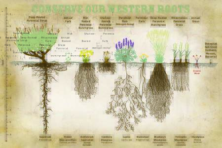 Conserve Our Western Roots PostcardREV2.indd