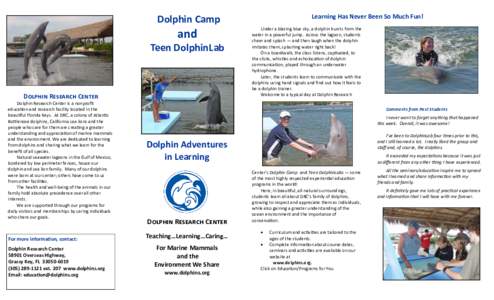 Learning Has Never Been So Much Fun!  Dolphin Camp and Teen DolphinLab
