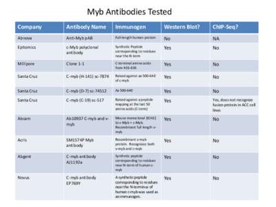 Myb Antibodies Tested Company Antibody Name  Immunogen