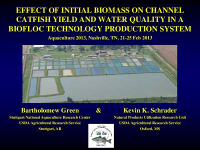 EFFECT OF INITIAL BIOMASS ON CHANNEL CATFISH YIELD AND WATER QUALITY IN A BIOFLOC TECHNOLOGY PRODUCTION SYSTEM Aquaculture 2013, Nashville, TN, 21-25 FebBartholomew Green