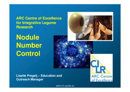 Microsoft PowerPoint - Nodule Number Control.ppt