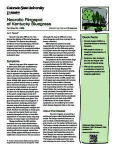 Necrotic Ringspot of Kentucky Bluegrass Fact Sheet No.		2.900 Gardening Series| Diseases