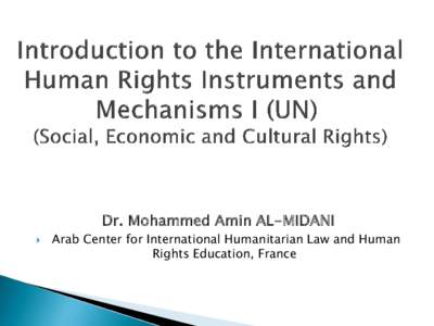 Dr. Mohammed Amin AL-MIDANI  Arab Center for International Humanitarian Law and Human Rights Education, France