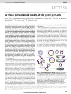 Vol 465 | 20 May 2010 | doi:nature08973  LETTERS A three-dimensional model of the yeast genome Zhijun Duan1,2*, Mirela Andronescu3*, Kevin Schutz4, Sean McIlwain3, Yoo Jung Kim1,2, Choli Lee3, Jay Shendure3, Stan