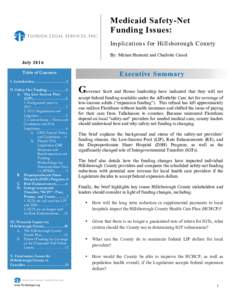 Microsoft Word - Hillsborough LIP Report Final July 23.docx