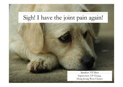 Sigh! I have the joint pain again!  Speaker: YF Shea Supervisor: CP Chung. Hong Kong West Cluster