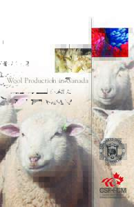 Wool Production in Canada  Canadian Sheep Federation Fédération Canadienne du Mouton  Contents