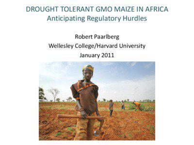 DROUGHT TOLERANT GMO MAIZE IN AFRICA Anticipating Regulatory Hurdles Robert Paarlberg