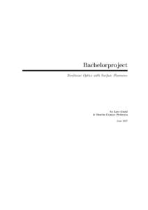 Bachelorproject Nonlinear Optics with Surface Plasmons by Lars Guski & Martin Cramer Pedersen June 2007