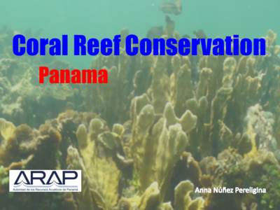 Coral Reef Conservation Panama Caribbean Sea Low nutrient levels Tides up to 0.5 m