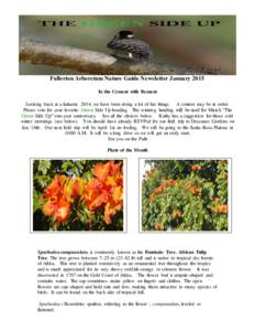 Fullerton Arboretum Nature Guide Newsletter January 2015 In the Cement with Bement Looking back at a fantastic 2014, we have been doing a lot of fun things. A contest may be in order. Please vote for your favorite Green 