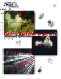 EPoultry Pest Management  1