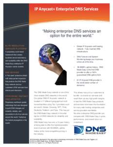 IP Anycast+ Enterprise DNS Services  “Making enterprise DNS services an option for the entire world.” E LI TE RESOLUTI ON