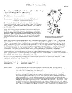 HNIS Report for Verbesina encelioides  Page 1 Verbesina encelioides [(Cav.) Bentham & Hooker fil. ex Gray] ssp. exauriculata [Robinson & Greenman]