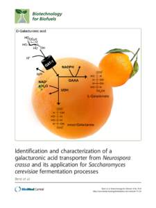 Identification and characterization of a galacturonic acid transporter from Neurospora crassa and its application for Saccharomyces cerevisiae fermentation processes Benz et al. Benz et al. Biotechnology for Biofuels 201