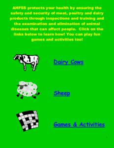 Sheep Health Activity Book
