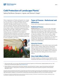ENH1  Cold Protection of Landscape Plants1 Sydney Park Brown, Dewayne L. Ingram, and Thomas H. Yeager2  Winter temperatures in Florida are frequently low enough