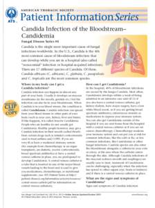 Candida Infection of the Bloodstream– Candidemia Fungal Disease Series #4 Candida is the single most important cause of fungal infections worldwide. In the U.S., Candida is the 4th most common cause of bloodstream infe