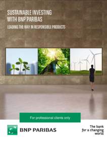 Microsoft PowerPoint - Sustainable Investing - BNP Paribas_distribution version_20150716 [Read-Only]