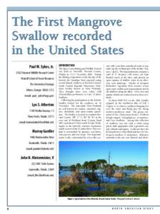 The First Mangrove Swallow recorded in the United States Paul W. Sykes, Jr. USGS Patuxent Wildlife Research Center Warnell School of Forest Resources