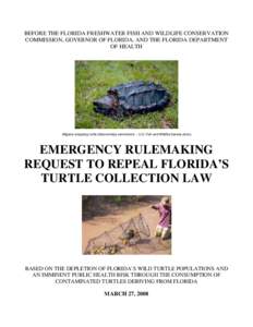 BEFORE THE FLORIDA FRESHWATER FISH AND WILDLIFE CONSERVATION COMMISSION, GOVERNOR OF FLORIDA, AND THE FLORIDA DEPARTMENT OF HEALTH Alligator snapping turtle (Macrochelys temminckii) – U.S. Fish and Wildlife Service pho