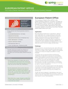 EUROPEAN PATENT OFFICE Cuts Time-to-Market, Maintenance and Cost with Groovy Dynamic Language E U R O P E A N PAT E NT O FFI CE  S P R I N G S O UR C E R E S ULTS