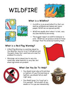 WILDFIRE What is a Wildfire? • A wildfire is an uncontrolled fire that can destroy wildlands and homes and injure people. Wildfires can spread quickly. • Wildfires usually start when it is hot, very